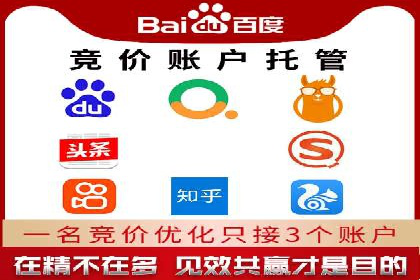 竞价托管成功案例：提升广告投放效果